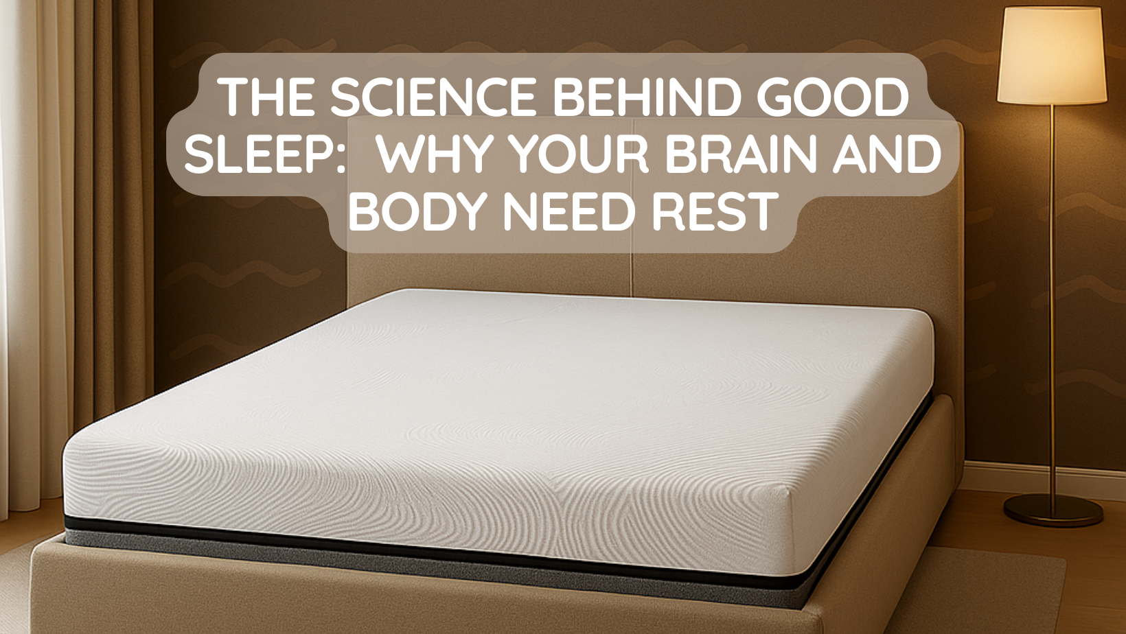 The Science Behind Good Sleep: Why Your Brain and Body Need Rest